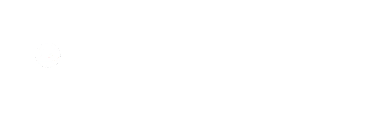 dunlop image
